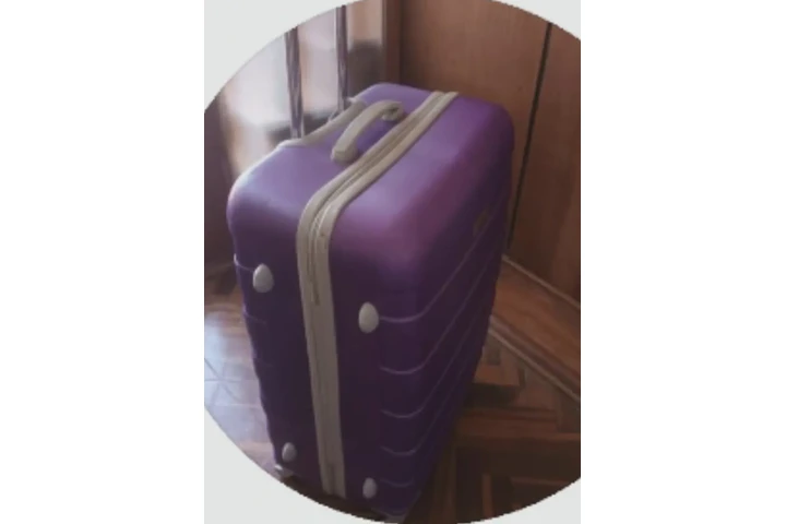 $100 : MALETAS DE VIAJE image 1
