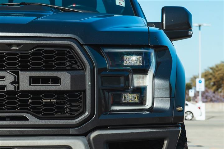 2019 F-150 Raptor image 8