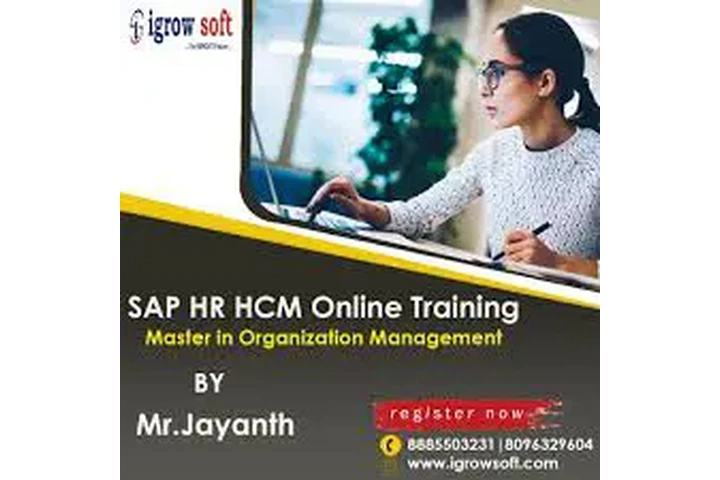 SAP HR HCM Course in Hyderabad image 1