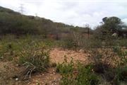 $7500 : TERRENO 360M2 LOS ROBLES Venta thumbnail