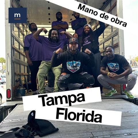 Mudanzas en Tampa image 1