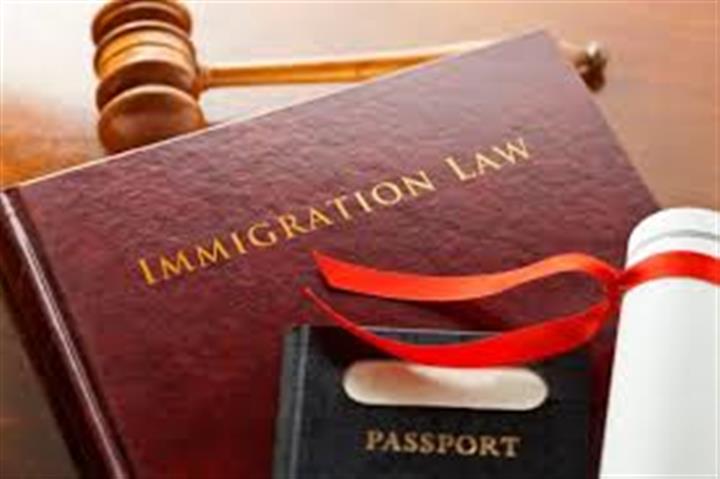 Immigration Lawyer -Law Office image 2