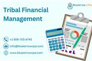 Tribal financial management