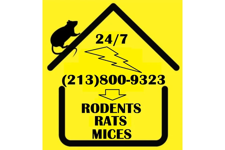 CONTROL PLAGAS (213)800-9323.- image 1