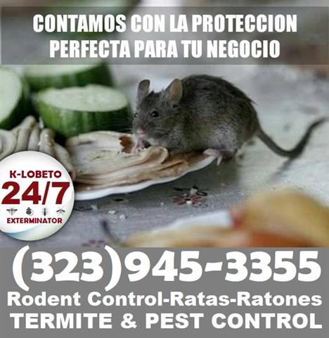 24/7 RODENT CONTROL-REPAIRS image 6