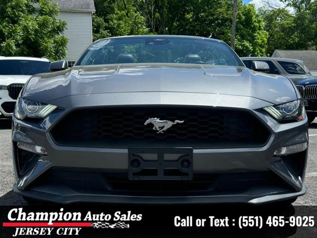 Used 2021 Mustang EcoBoost Pr image 5