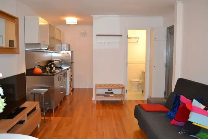 $2500 : 1 BED/ 1 BATH APARTMENT RENTAL image 2