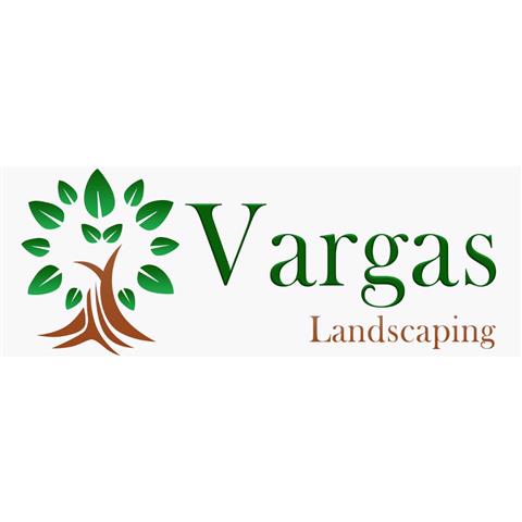 Vargas landscaping image 1