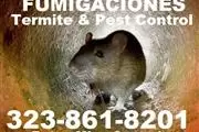 FUMIGACION CUCARACHAS-CHINCHES thumbnail