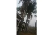 Servicios de Jardineria thumbnail