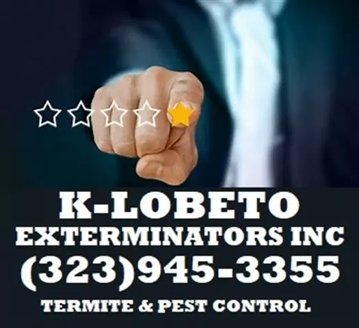 Pest Control Services 24/7 image 1