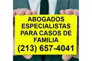 PROBLEMAS LEGALES DE FAMILIA ? en Los Angeles