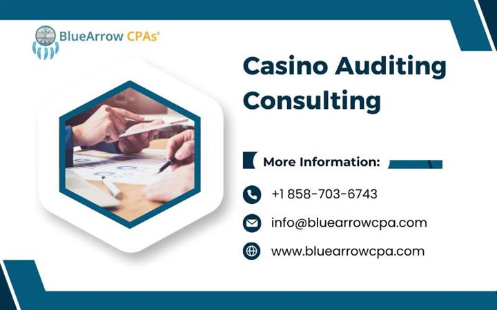 Casino Auditing Consulting image 1