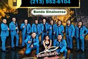 BANDA DOMINANTE RCR thumbnail