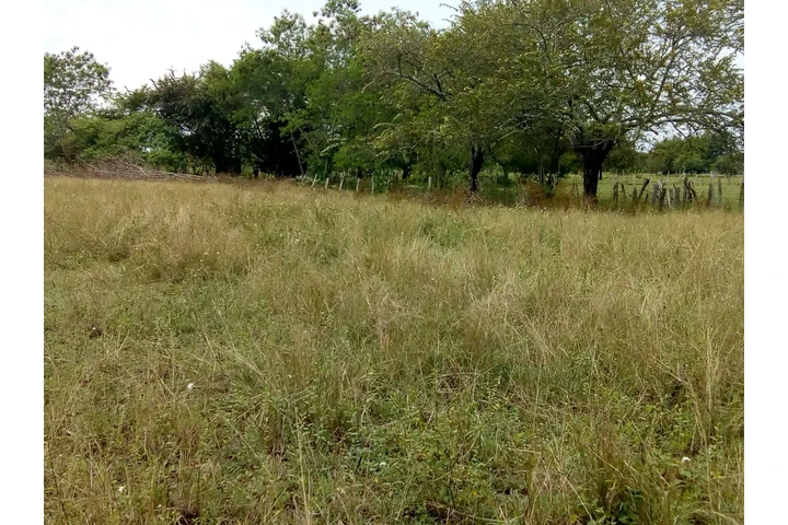 $85000000 : SE VENDE MAGNIFICO TERRENO image 5