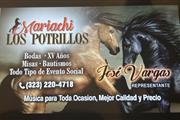 MARIACHI LOS POTRILLOS thumbnail