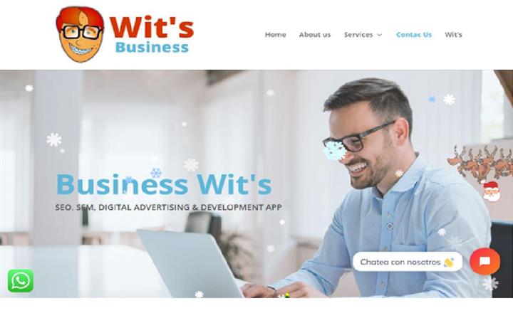 Business Wits image 2