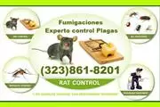 FUMIGACION CUCARACHAS/CHINCHES