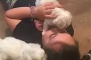 $600 : Maltese Puppies awaits you thumbnail