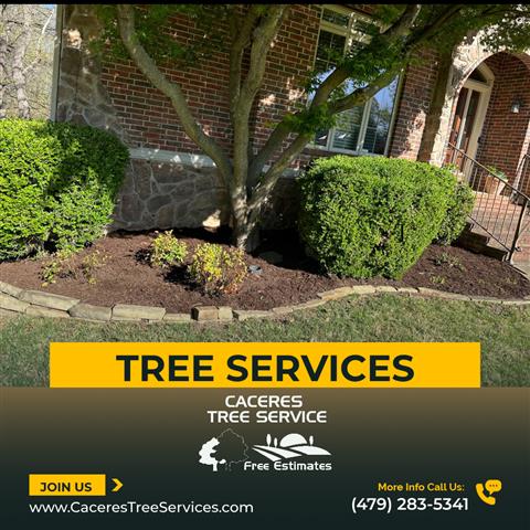 Caceres Tree Service image 2