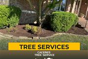 Caceres Tree Service thumbnail