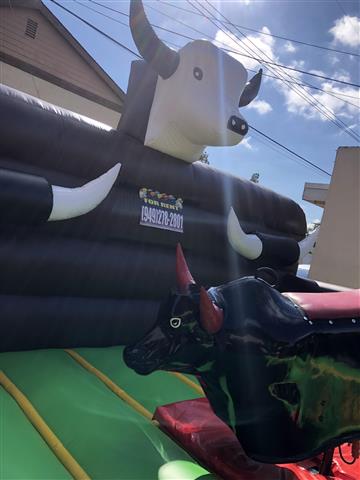 Mechanical Bull image 2