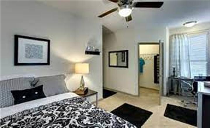 $270 : Student Accommodation Orlando image 1