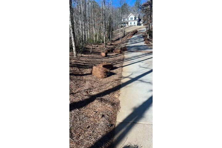 🌲LANDSCAPING SERVICES🌲 image 10