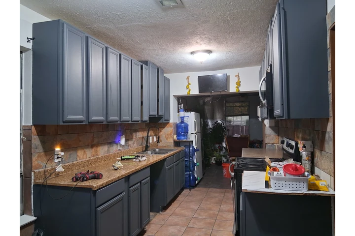 Pintura Gabriela image 1