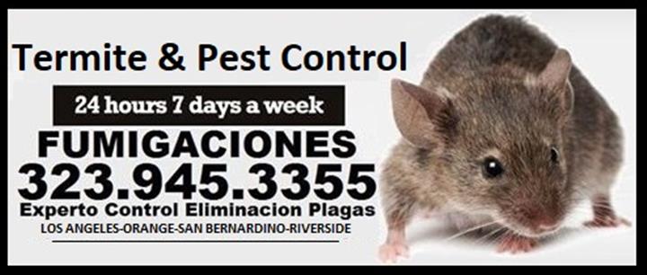 RODENT CONTROL (323)945-3355 image 7