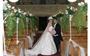 WEDDINGS COORDINATOR PHOTO-VID thumbnail