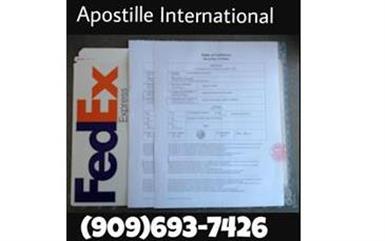 APOSTILLE  &  NOTARY SERVICES image 1