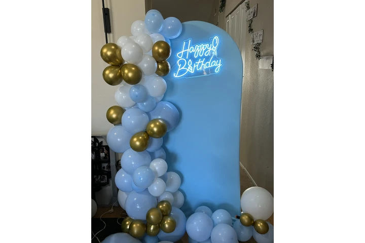 Balloon Artist image 5