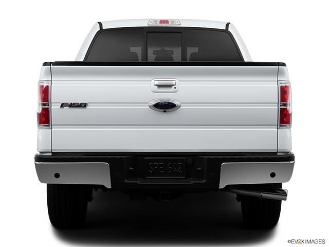 2013 F150 image 6