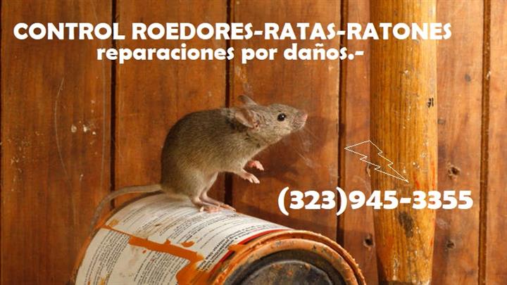 CONTROL RATAS RATONES 24/7 image 3