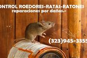 CONTROL RATAS RATONES 24/7 thumbnail