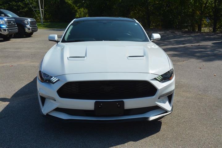 2019 Mustang EcoBoost image 3