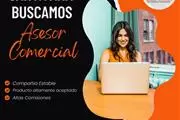 Representante Comercial en Riverside