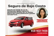 Seguro de automóvil asequible thumbnail