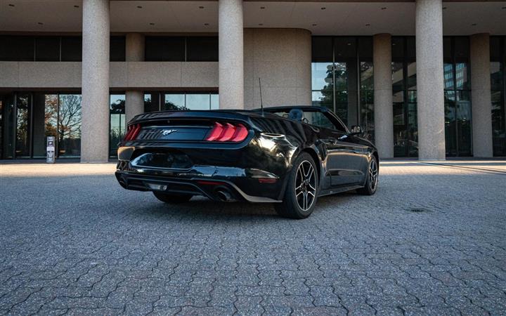 $27000 : 2020 FORD MUSTANG image 4