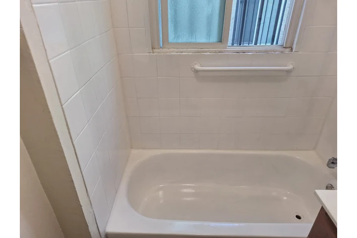 HANDYMAN BFS image 2