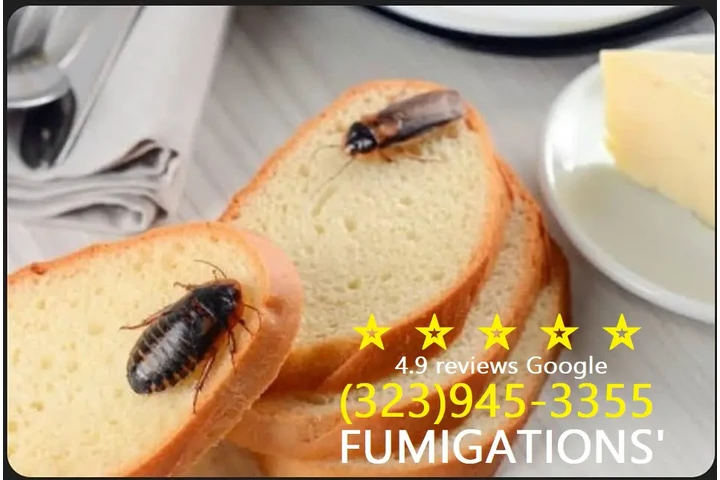 COMMERCIAL FUMIGATION 24/7.- image 10