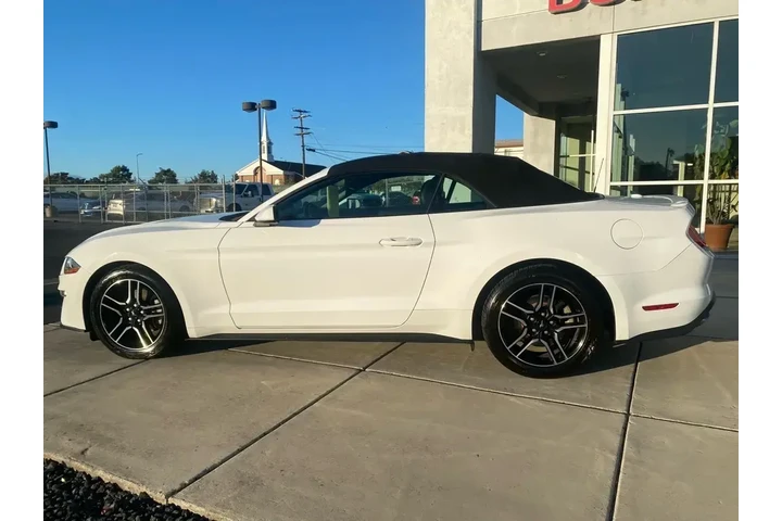 $23588 : Ford Mustang 2023 EcoBoost P image 3