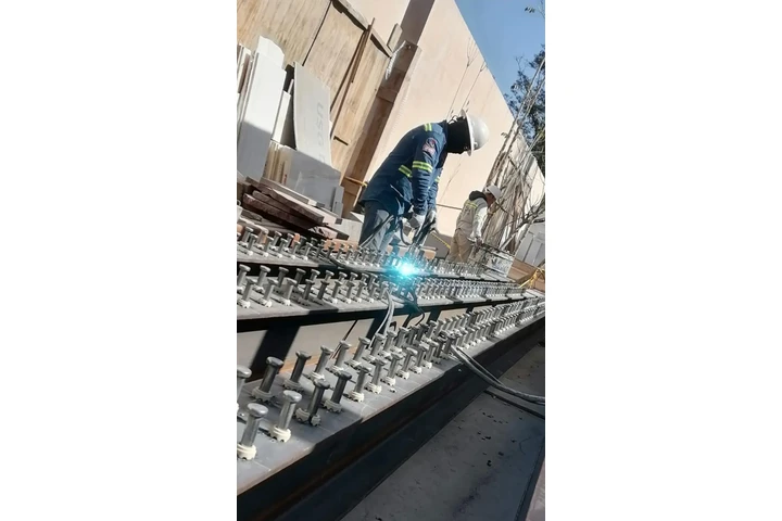 PERNEADORA NELSON EN RENTA image 9