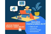 Agente de chat Remoto bilingue en Rosario