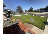 Jardinería y limpieza thumbnail