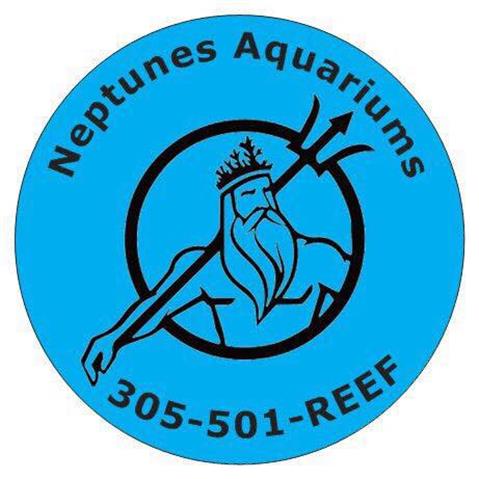 Neptune's Aquariums image 1