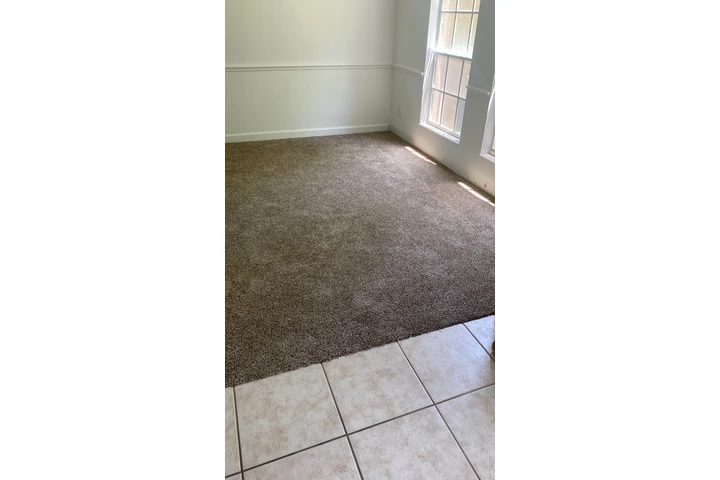 Carpet image 4