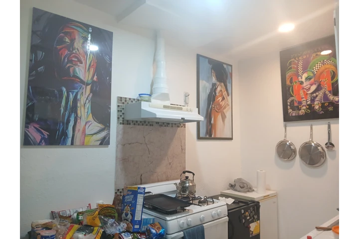 $600 : Lo mas barato por esta area image 2