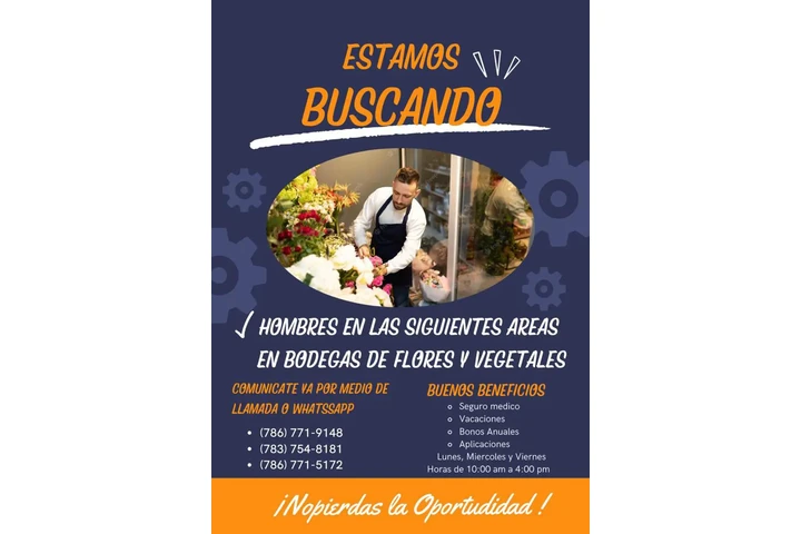 Tengo trabajo fijo y estable. image 3